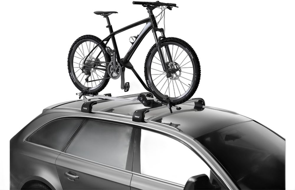 Thule ProRide 598 para Techo